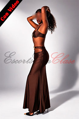 Black skin escort | Ébano photos 2026