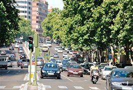 Escorts Alberto Alcocer Madrid