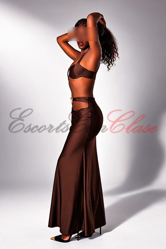 Escort de lujo negrita con un vestido muy elegante y sexy. Ébano fotos 2026